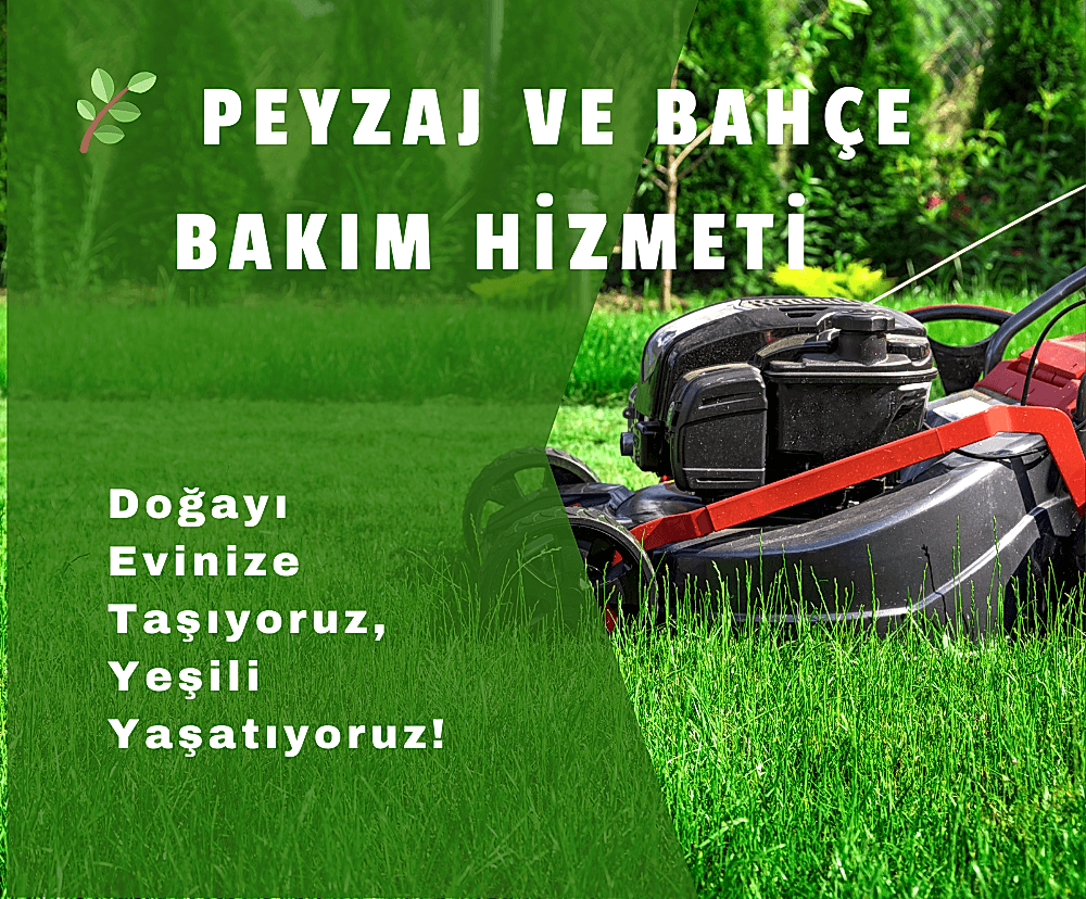 Bahçe Tasarımı