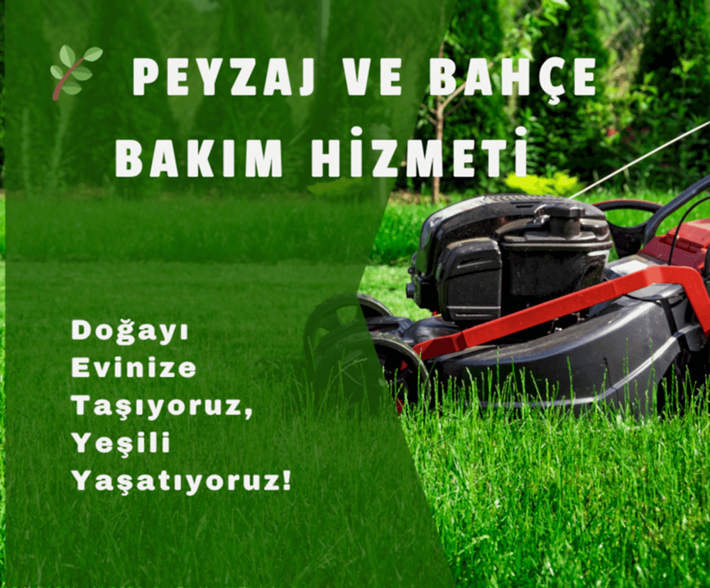 Ağaç ve Çalı Bakımı