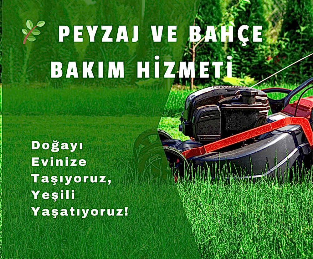Çim Ekimi ve Bakımı