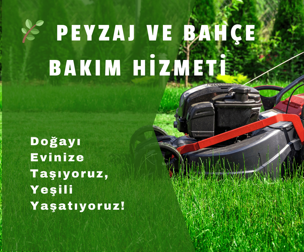 Mevsimlik Bitki Dikimi